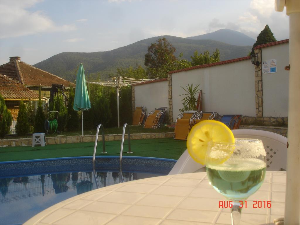 Guest House Camellia Berkovica Kültér fotó