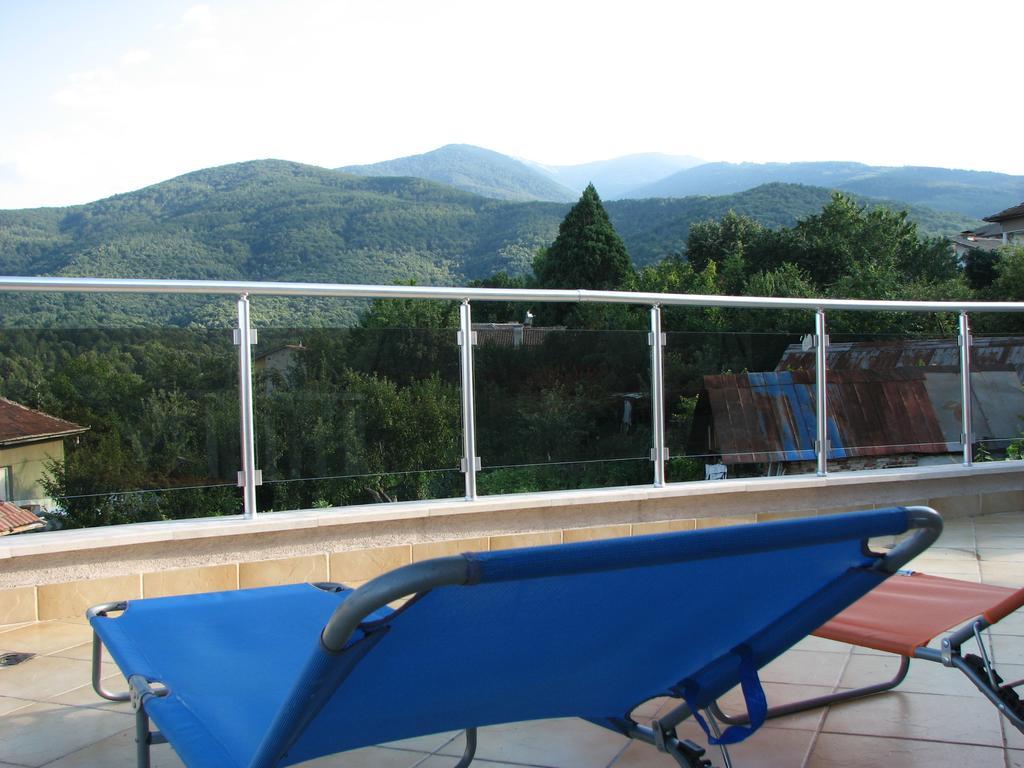 Guest House Camellia Berkovica Kültér fotó