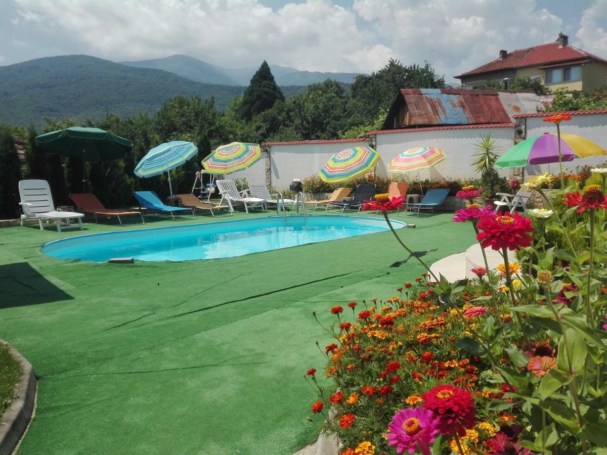 Guest House Camellia Berkovica Kültér fotó